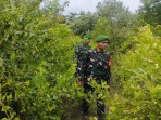 Edukasi Lingkungan, Babinsa Dorong Masyarakat Desa Ketapang Permai Cegah Karhutla
