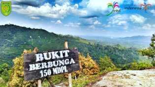 Nikmati Alam Bukit Berbunga di Kabupaten Inhil