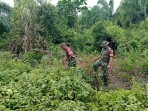 Babinsa Koramil 06/Merbau Perketat Patroli Karhutla, Cegah Dini Kebakaran Hutan