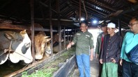 DPTPHP Inhil Periksa Hewan Qurban Jelang Idul Adha 1446 H