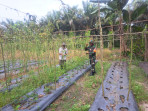 Petani Kacang Panjang Dapatkan Pembekalan Dari Serda Andri Widodo