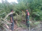 Rutin Patroli, Sertu Ade D. Purba Gencar Sosialisasi Bahaya Membakar Lahan