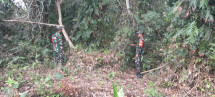 Sosialisasi Babinsa di Desa Semukut, Himbauan Cegah Karhutla
