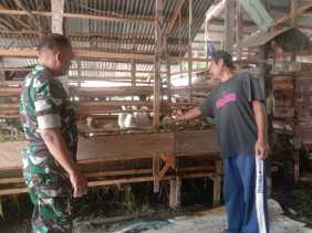 Sertu Sutiono Melaksanakan Giat Cegah PMK di Wilayah Binaannya