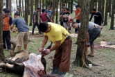 Panitia Kurban DPRD Riau Tak Terima Dituding Bagikan Kupon Kurban Palsu