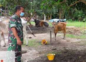 Pelda Riadi Sembiring Tinjau Peternakan di Wilayah Binaannya