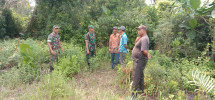Pengecekan Hutan di Wilayah Binaannya Oleh Babinsa Koramil 06 Merbau