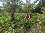 Babinsa Koramil 06/Merbau Rutin Patroli Cegah Karhutla di Desa Tanjung Pisang