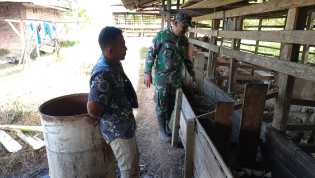 Serda Roni Sandra Pantau Hewan Ternak di Wilayah Binaannya