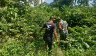 Babinsa Koramil 06/Merbau Intensifkan Patroli Cegah Karhutla di Renak Dungun