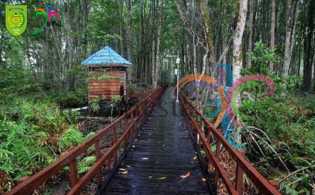Asrinya Hutan Magrove di Pantai Solop, Rekomendasi Wisata Inhil