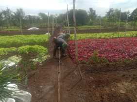 Petani Sayur Dapatkan Binaan Dari Serda Priyo Sudarmo