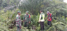 Babinsa Koramil 06/Merbau Laksanakan Patroli Rutin Cegah Karhutla di Desa Tanjung Padang