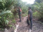 Babinsa Koramil 06/Merbau Intensifkan Patroli Cegah Karhutla di Desa Ketapang Permai