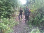 Babinsa Koramil 06/Merbau Tegaskan Pentingnya Pencegahan Karhutla Sejak Dini