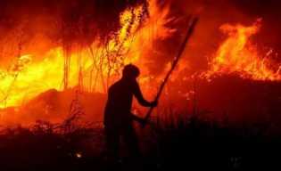 Lahan Riau Terbakar Mencapai 885 Ha