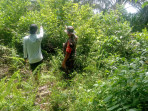 Giat Serka Suandi Untuk Mencegah Terjadinya Kebakaran Hutan dan Lahan