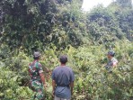 Babinsa dan Warga Bersinergi Cegah Karhutla di Desa Selat Akar