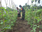 Serda Andri Widodo Dorong Pertanian Berkelanjutan di Dumai