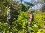 Sosialisasi Bahaya Karhutla, Babinsa Sentuh Warga Teluk Ketapang