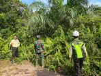 Babinsa Intensifkan Komsos dan Patroli Cegah Karhutla di Lahan Gambut