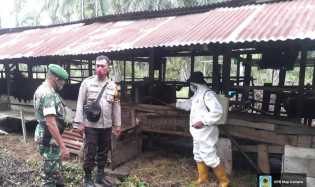 Pelda Tovani Melaksanakan Pencegahan PMK di Wilayah Binaannya