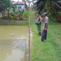Sertu Sareh Dampingi Peternak Ikan Lele dan Nila di Wilayah Binaannya