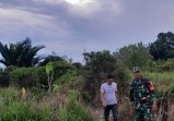 Cegah Karhutla, Babinsa Rutin Sisir Lahan Gambut di Meranti