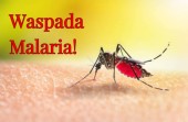 Inhil Marak Kasus Malaria, Dinkes Inhil Minta Masyarakat tetap Waspada