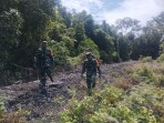Wilayah Kosong Rawan Karhutla, Babinsa Tingkatkan Pengawasan