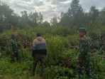 Babinsa Koramil 06/Merbau Intensifkan Patroli dan Sosialisasi Cegah Karhutla Serta Mengajak Masyarakat