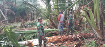 Desa Padang Kamal dan Babinsa Koramil 06 Merbau Melaksanakan Monitoring Wilayah