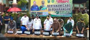 Mengendalikan Inflasi di Riau, Gubri dan Dinas Pangan TPH Provinsi Riau Laksanakan Penanaman Bibit Cabe di Inhil