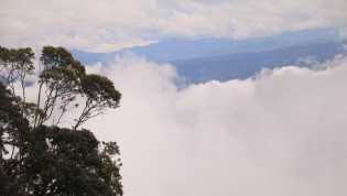 Apa Kabar Taman Nasional Gunung Leuser?
