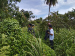 Serda Edi dan Kopda Ricko Patroli di Tanjung Padang Cegah Kebakaran Hutan