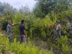Patroli Babinsa Efektif Cegah Karhutla di Wilayah Binaan Koramil 06/Merbau