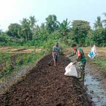 Sertu Mahyudin Bantu Petani Kangkung