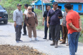 Plt. Bupati Labuhanbatu Tinjau Perbaikan Jalan di Desa Selat Besar