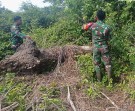 Babinsa Merbau Sisir Semak dan Cek Embung Cegah Karhutla