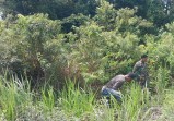 Babinsa Merbau Intensifkan Patroli Karhutla di Desa Kuala Merbau