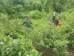 Babinsa Koramil 06/Merbau Bersinergi dengan Warga Cegah Karhutla di Desa Semukut