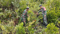 Babinsa Imbau Warga Teluk Ketapang Tidak Buka Lahan dengan Membakar
