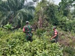 Cegah Karhutla, Babinsa Ingatkan Warga Dampak Buruk dan Ancaman Pidana