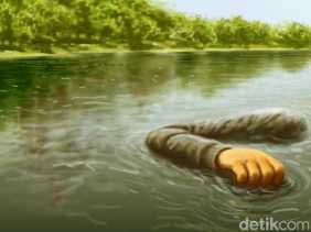 Pria 48 Tahun Ditemukan Mengapung Tak Bernyawa di Sungai Indragiri