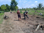 Pendampingan Karya Nyata, Babinsa dan Petani Bukit Timah Siapkan Lahan