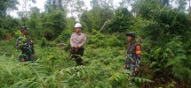 Warga Tanjung Kulim Dihimbau Waspada Karhutla oleh Babinsa