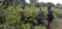 Babinsa Koramil 06/Merbau Gencarkan Patroli untuk Cegah Karhutla di Tanjung Padang