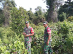 Babinsa Koramil 06/Merbau Gencarkan Semangat Patroli Karhutla di Desa Tanjung Padang