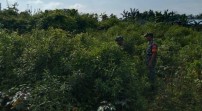 Babinsa Koramil 06/Merbau Gencar Patroli Karhutla di Desa Bandul
