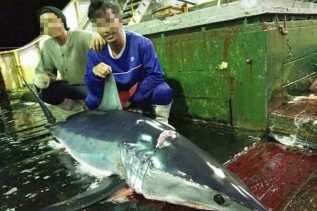 Total Rp 2,9 Gaji 45 ABK Indonesia di Kapal Ikan Asing Mengaku Belum Diterima